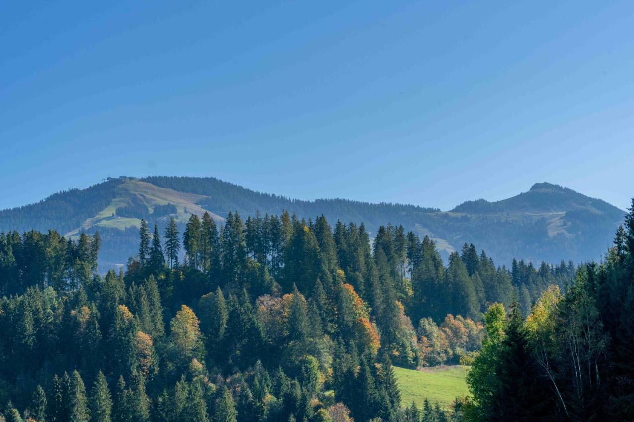 Villa Getznerhof à Westendorf Extérieur photo